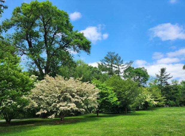 Merion Botanical Park, United States